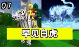 重装上阵最新小爆料,神秘角色登场，战力升级再掀热潮！