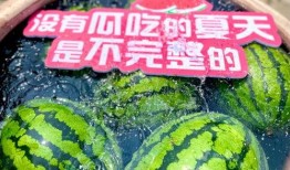 现场免费吃瓜,夏日狂欢盛宴来袭！